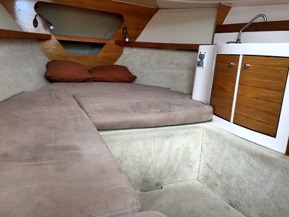 Motorboat Elan 650 · 2015 · Elan 650 (1)