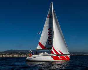 Elan Impression 40