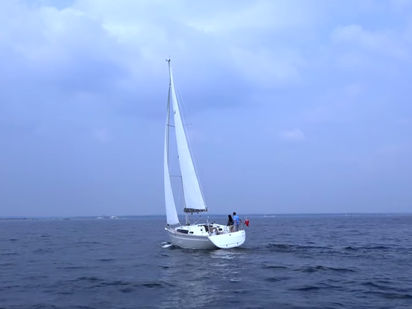 Velero Bavaria Cruiser 34 · 2019 · Sora (0)