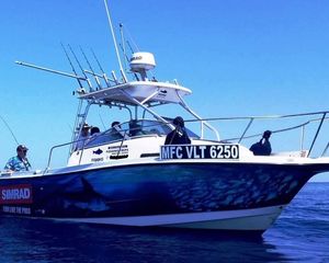 Bayliner Trophy