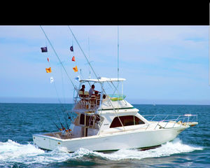 Bertram 42