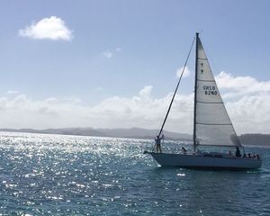 Pearson 36 Sloop