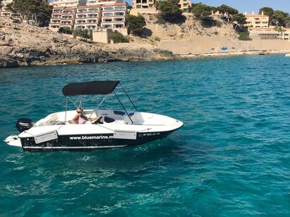 Sportboot Bayliner Element E5 · 2019 (0)