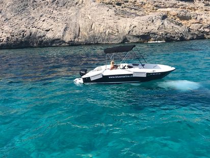 Barco a motor Bayliner Element E5 · 2019 · blaumari tres (1)