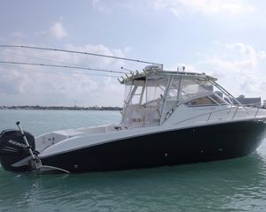 Hydra-Sports 3300 VX