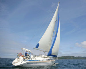 Bavaria 41