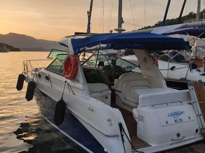 Barco a motor Sea Ray 290 Sundancer · 2001 (reacondicionamiento 2016) · Sea Ray 290 Sundancer (1)