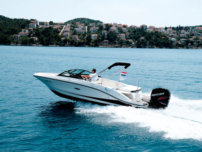 Sea Ray SPX 210 OB (1)