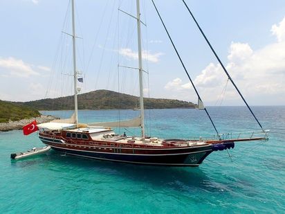 Goélette Custom Built · 2011 (0)