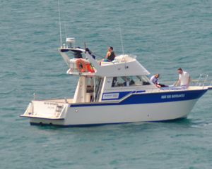 Rodman 1250
