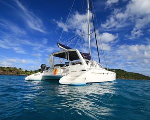 Leopard 43