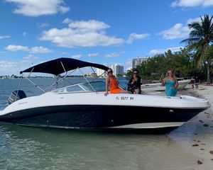 Sea Ray 300 Sundeck
