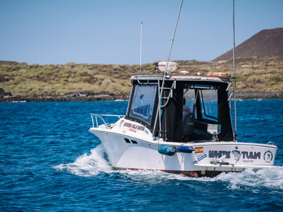 Bateau à moteur Luhrs 25 Open Tournament · 1997 · WHITE TUNA (1)