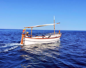 Menorquin Capeador 36