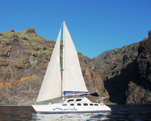 Tonga Tora 37