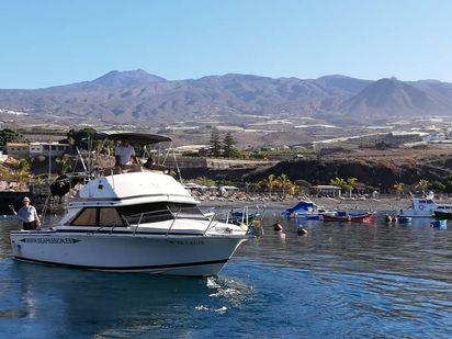 Barco a motor Bertram 28 Flybridge · 1996 (reacondicionamiento 2018) · Sea Passion (1)