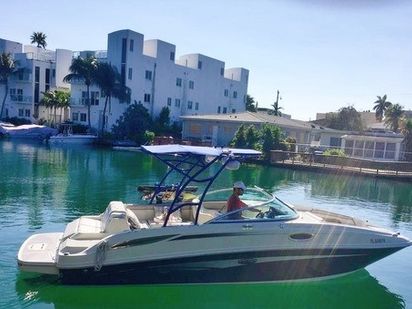 Barco a motore Sea Ray 260 Sundancer · 2010 (0)