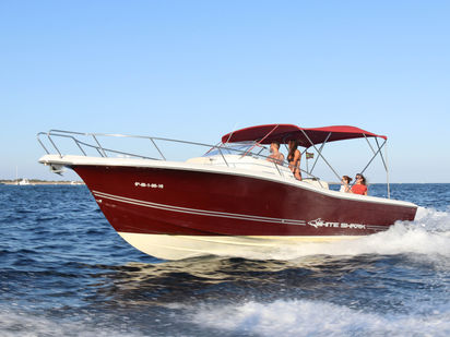 Lancha motora White Shark 298 · 2009 (0)