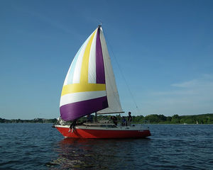 Delanta 80