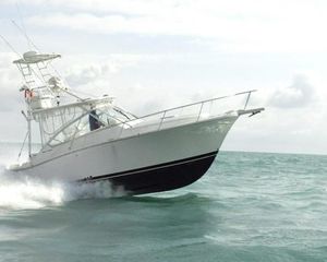 Luhrs 32