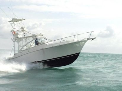 Bateau à moteur Luhrs 32 · 2000 · Luhrs 33 (0)