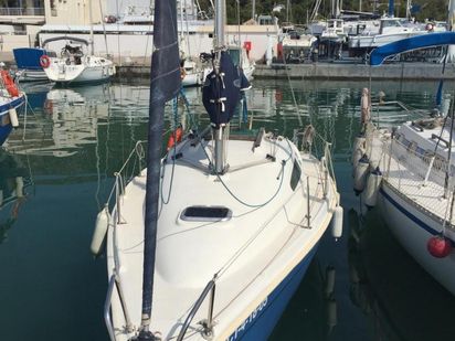 Żaglówka Astraea 260 Cruising · 2004 (remont 2017) · Hola Ola (1)