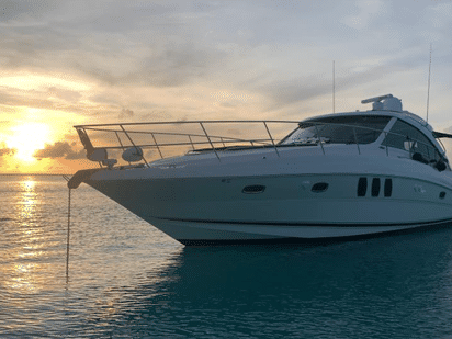 Barco a motor Sea Ray Sundancer 48 · 2005 · 48' Searay Sundancer (1)