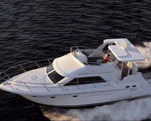 Cruisers 46