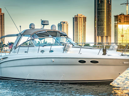 Barco a motore Sea Ray Sundancer 420 · 2006 (0)
