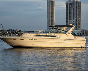 Sea Ray 360 Express Cruiser