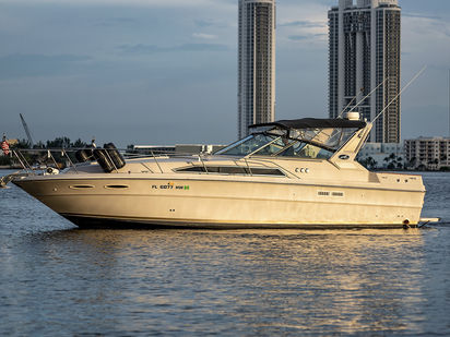 Barco a motore Sea Ray 360 Express Cruiser · 2006 (0)