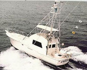 Hatteras 41