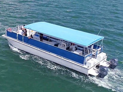 Motorcatamaran Custom Built · 2001 (0)