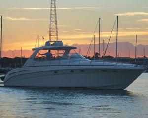 Sea Ray 54