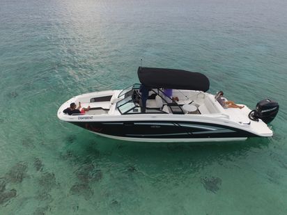 Speedboot Sea Ray 280 Sundeck · 2018 (refit 2019) · Sea Ray 28 (1)