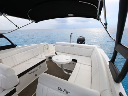 Sportboot Sea Ray 280 Sundeck · 2018 (Umbau 2019) · Sea Ray 28 (0)