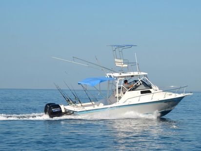 Bateau à moteur Custom Built · 1980 (0)