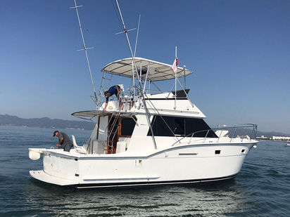 Bateau à moteur Hatteras 42 · 1980 (0)