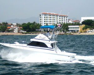 Bertram 38