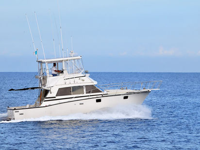 Bateau à moteur Bertram 38 · 1985 · Bertram 38 - Fishing Yacht (0)