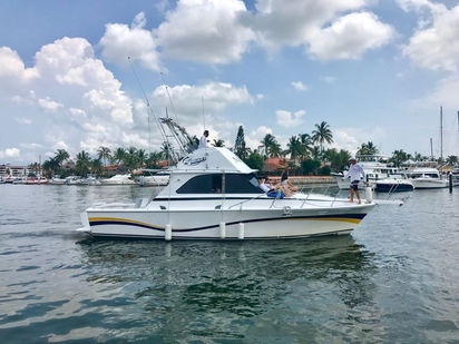 Imbarcazione a motore Bertram 38 · 1990 · Bertram 38 - Fishing Boat (1)