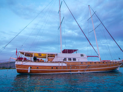 Gulet Custom Built · 2006 (refit 2014) · Hayalim D (1)