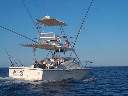 Bateau à moteur Pursuit Offshore 3000 · 2004 (réarmé 2014) · Deep Sea Fishing 7 hours (1)