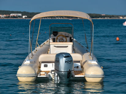 RIB Tiger Marine 550 ProLine · 2018 (0)