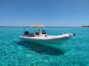 Black Fin Elegance 8