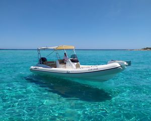 Black Fin Elegance 8