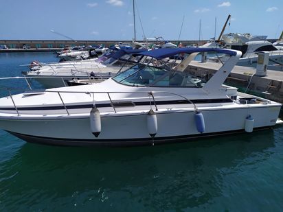 Barco a motor Bertram 33 · 1996 (reacondicionamiento 2021) · Taddy Blu (1)