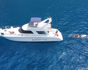 Sea Ray 560 Sedan Bridge