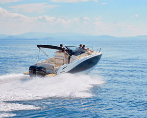 Quicksilver 875 Sundeck