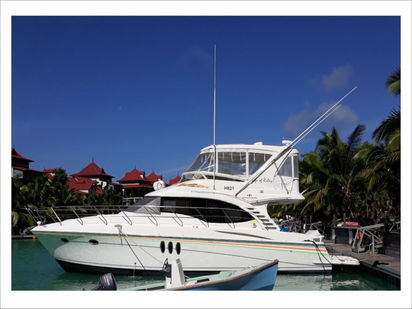 Motorboat Silverton Ovation 52 · 2010 (0)